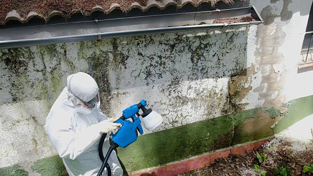 Trusted Mold Inspection service in Washington Boro, PA - Cheap Mold Removal